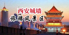 C美女b的网站中国陕西-西安城墙旅游风景区