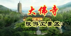 女人被CAO的哼哼叫的视频网站中国浙江-新昌大佛寺旅游风景区